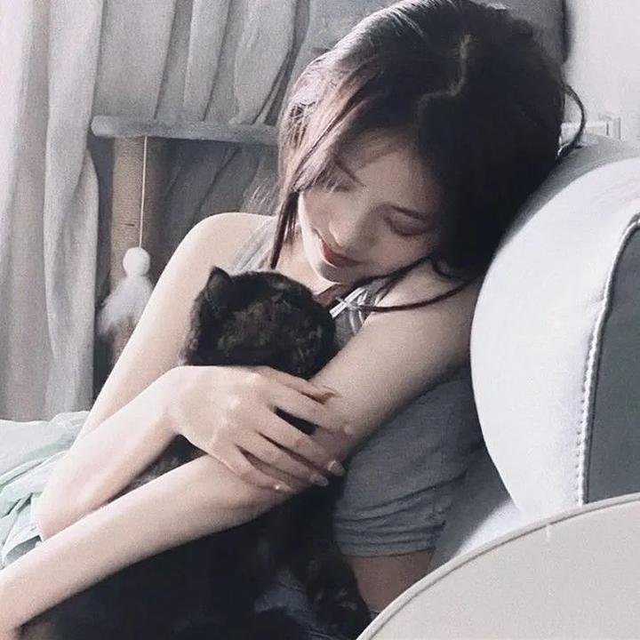 梦城兔福星 在线观看封面